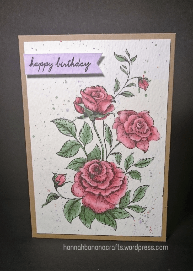 Watercolour roses. Kanban stamp, Windsor and Newton Cotman watercolour paints.