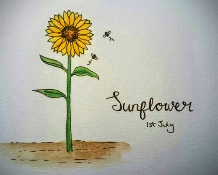Sunflower doodle