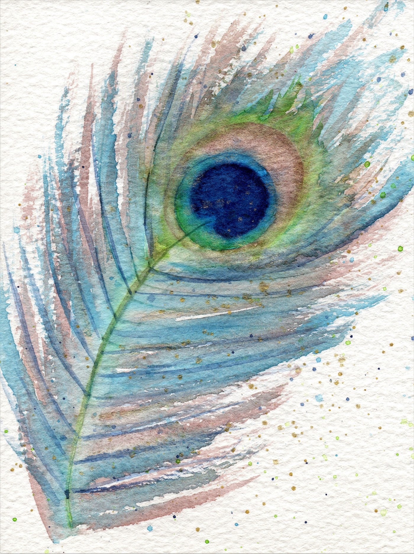 Watercolour peacock feather