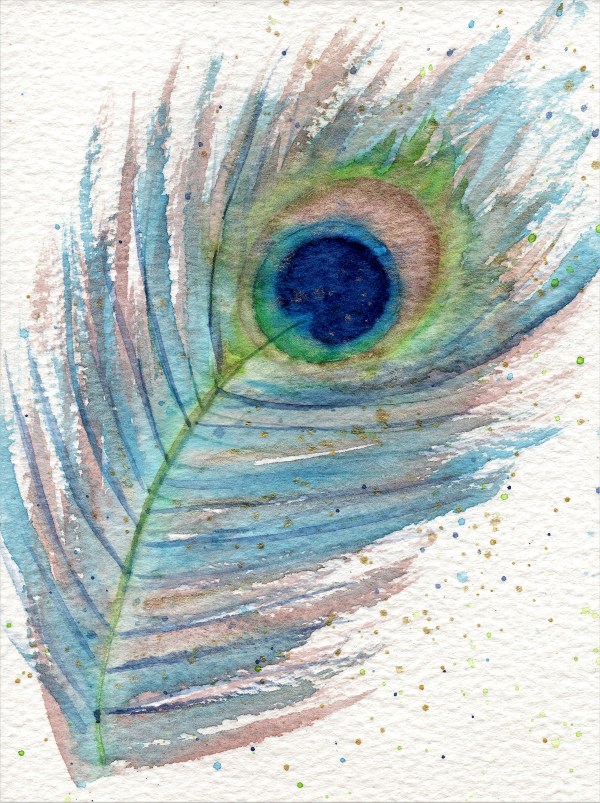 Watercolour peacock feather