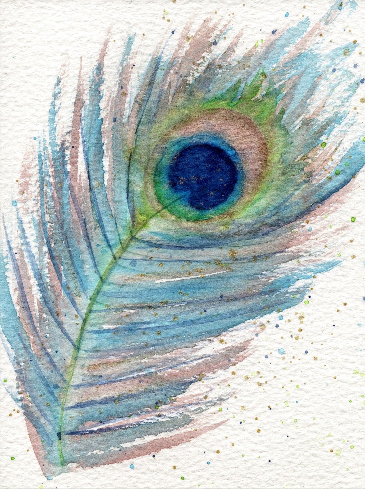 Watercolour peacock feather