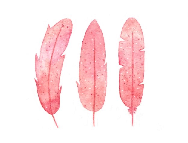 Watercolour feathers