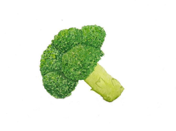 Watercolour broccoli