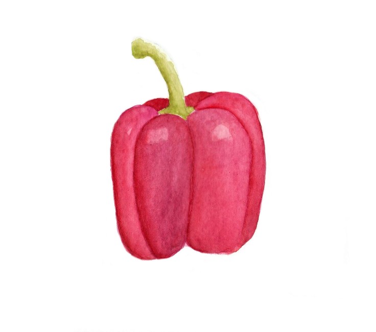 Watercolour red pepper