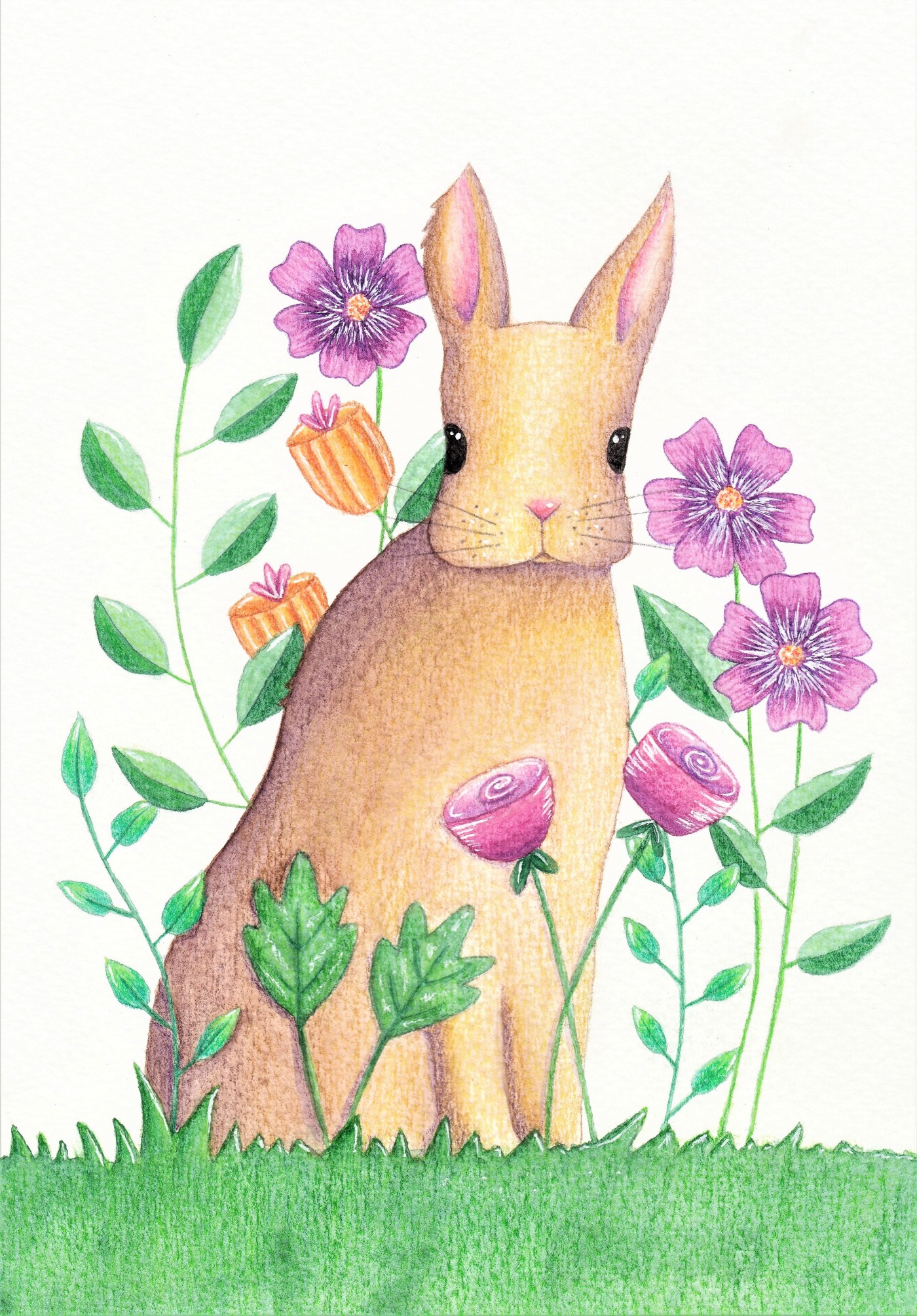 Rabbit and flowers illustration