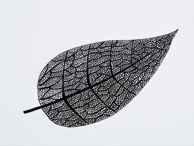 Inktober 2019 Day 8 Frail